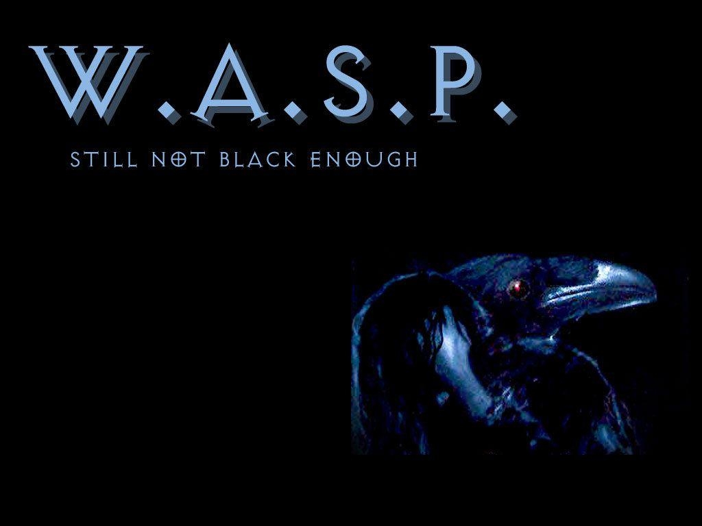 1030x770 W.A.S.P wallpaper, picture, photo, image, Desktop