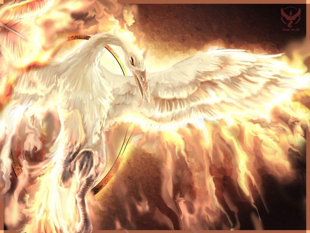 1030x770 Moltres Team Valor Wallpaper By Spin T, Desktop