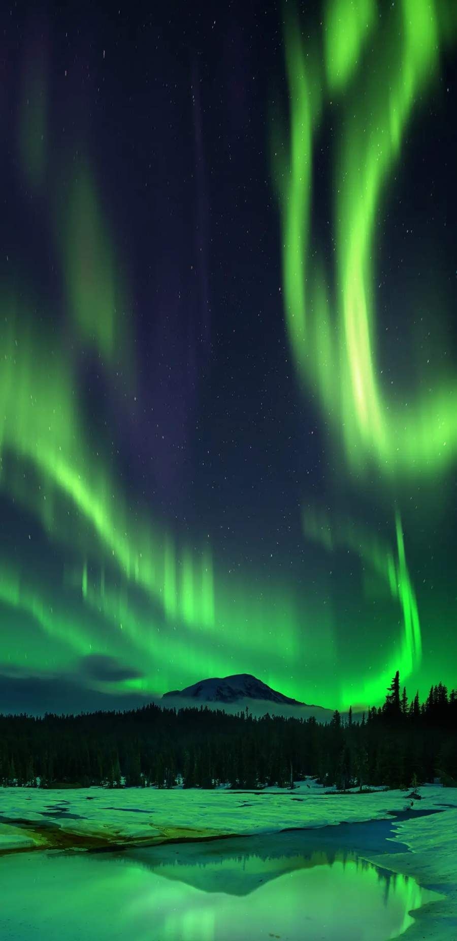 900x1850 Aurora Borealis Snow Night iPhone Wallpaper. Snow night, Northern lights wallpaper, iPhone wallpaper winter, Phone