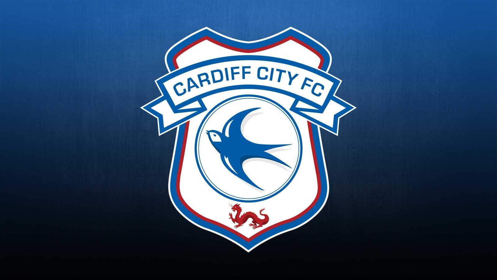 1600x900 Cardiff City HD Wallpaper and Photo, Desktop