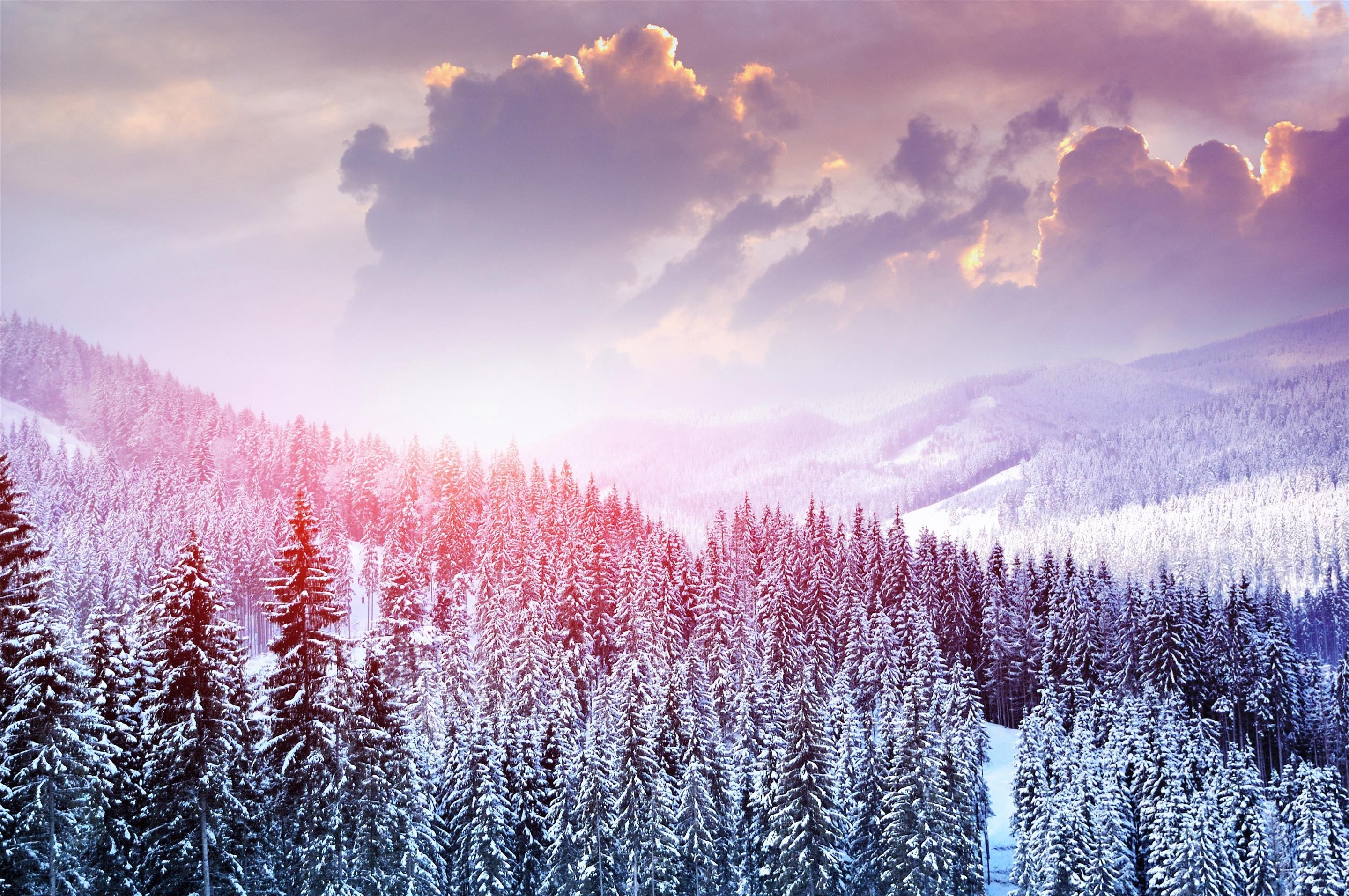 2880x1920 Pink Winter Wallpaper Laptop, Desktop