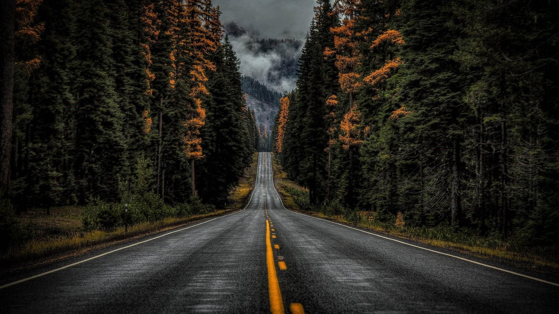 1920x1080 road #nature #tree woody plant #forest #sky #lane #asphalt #wilderness P #wallpape. Nature desktop wallpaper, Desktop background nature, Landscape wallpaper, Desktop