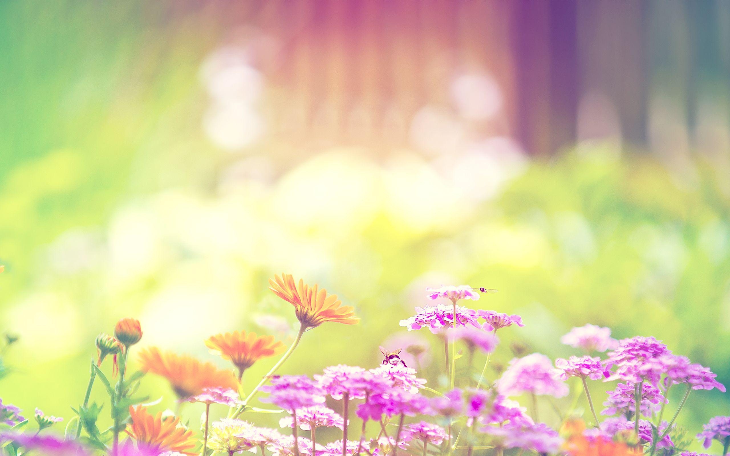 2560x1600 Wallpaper&;s Collection: «Spring Wallpaper», Desktop