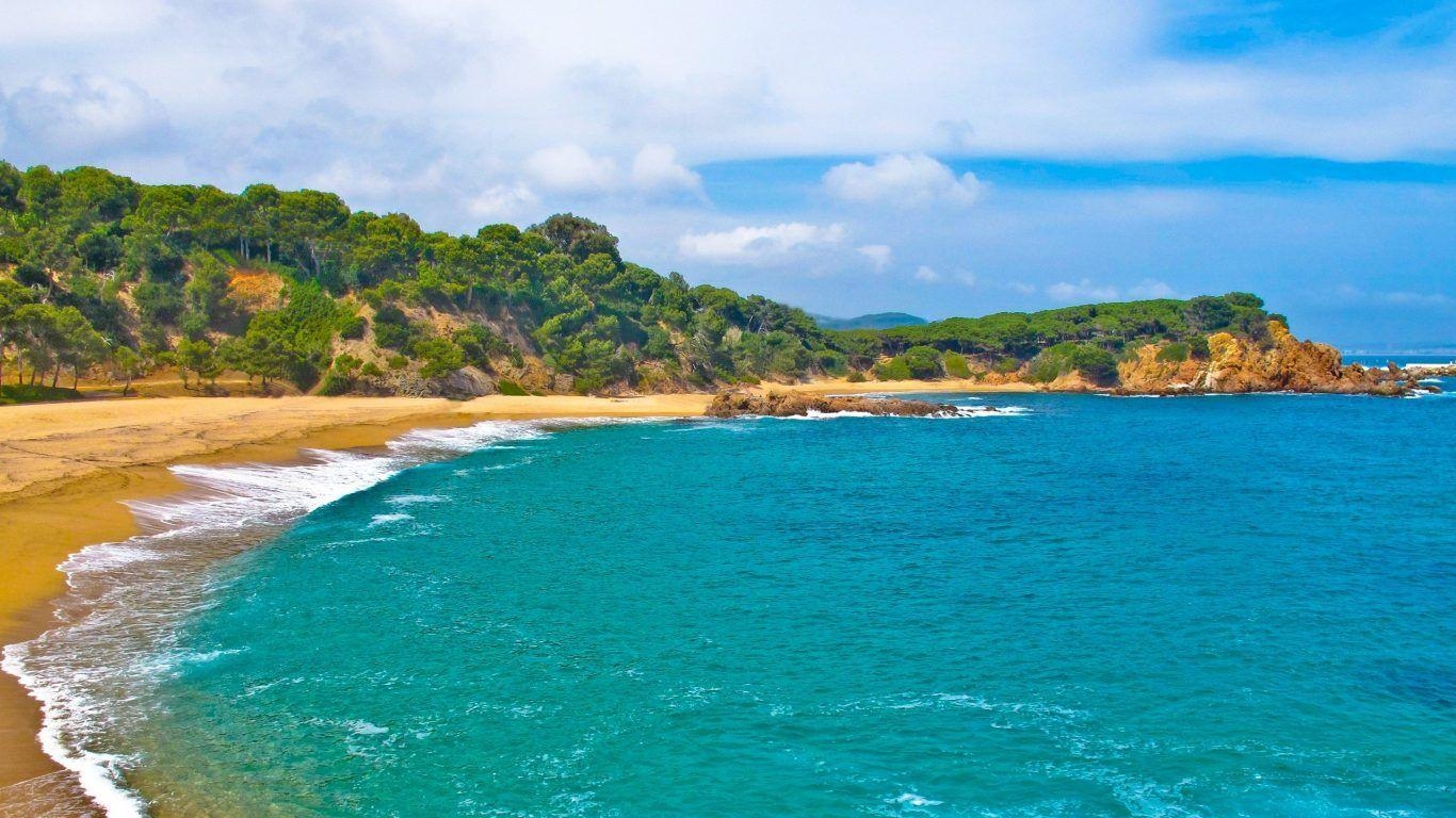 1370x770 Beach: Paradise Dominica Beautiful Palms Ocean Side Beach East, Desktop