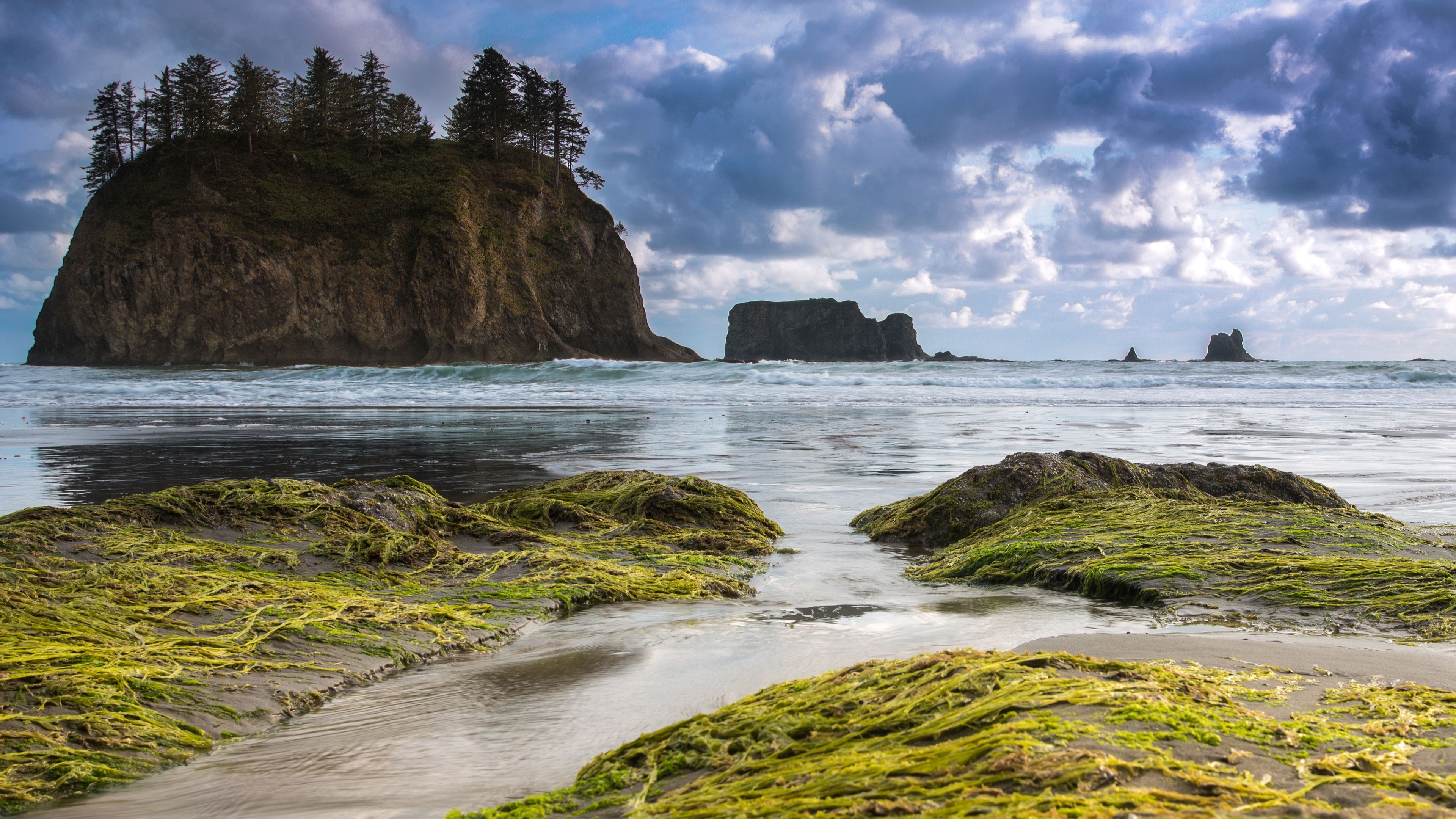 3840x2160 Olympic National Park Washington State Usa, Desktop