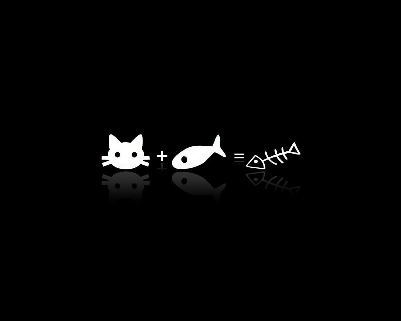 1280x1030 Aesthetic Black Wallpaper, Cat, Fish • Wallpaper For You, Desktop