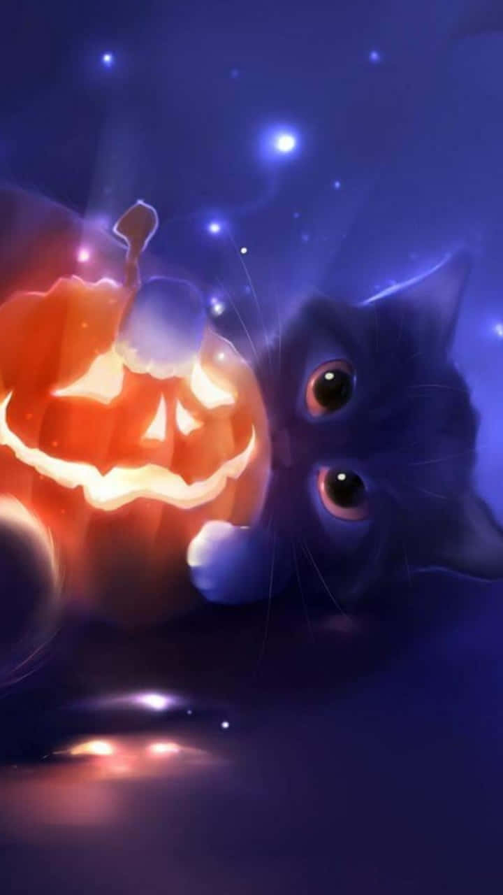 720x1280 Cute Pumpkin iPhone Cat Wallpaper, Phone