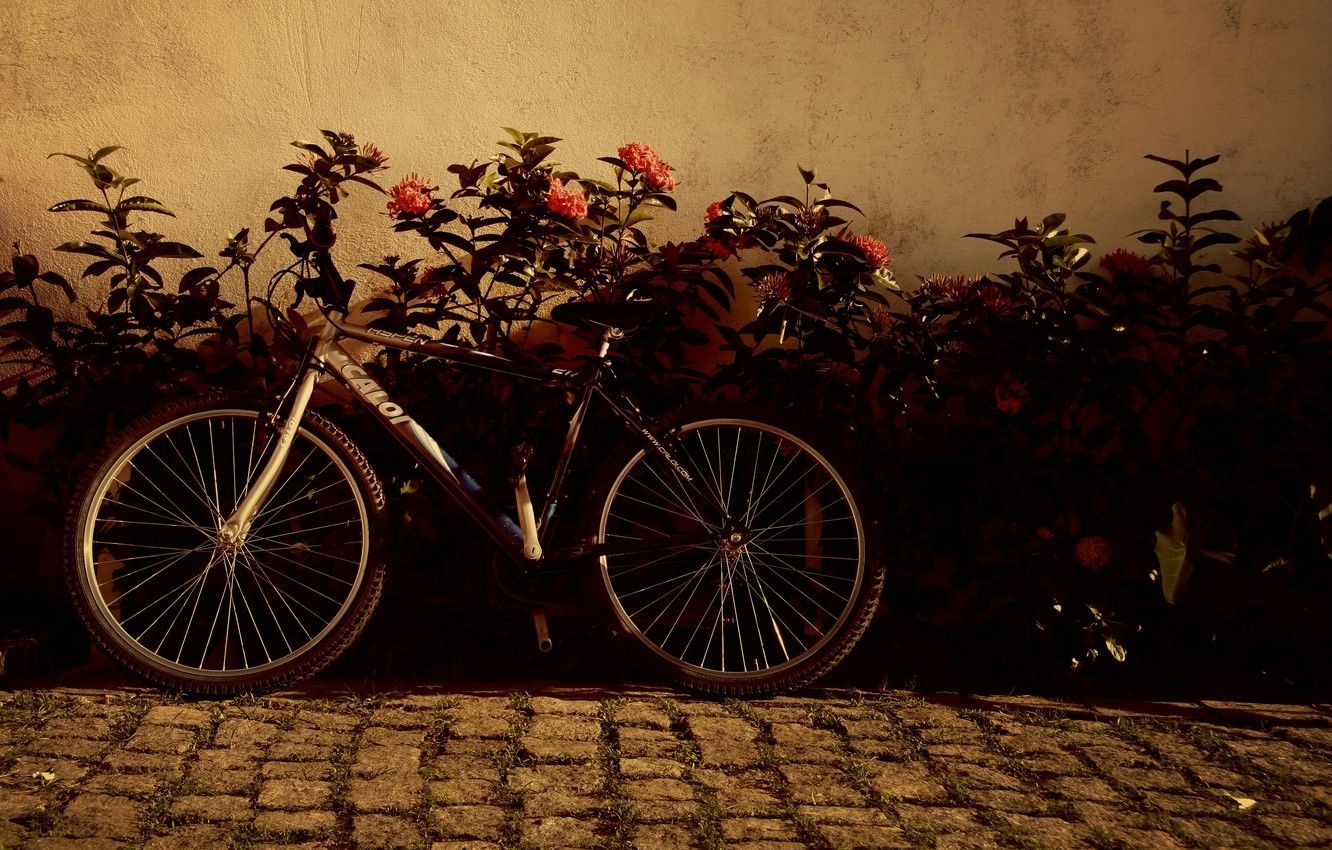 1340x850 Wallpaper flowers, bike, background, widescreen, Wallpaper, mood, wheel, wallpaper, flowers, widescreen, background, full screen, HD wallpaper, widescreen, fullscreen image for desktop, section настроения, Desktop