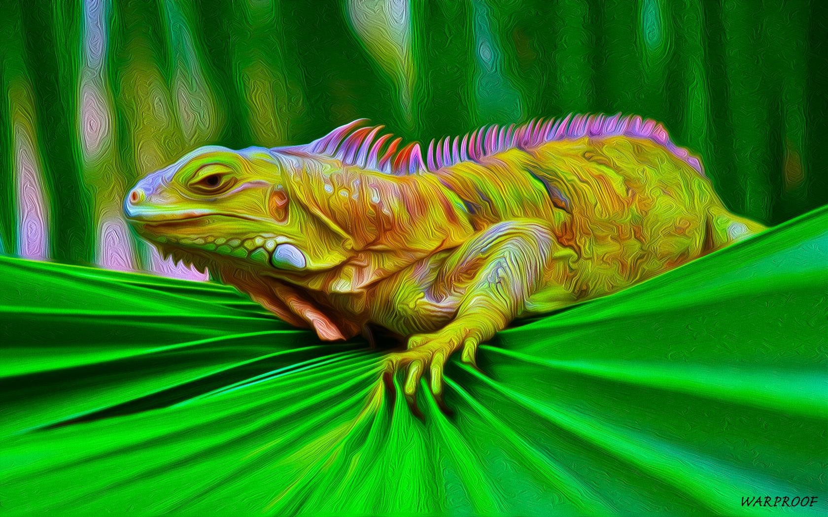 1680x1050 IGUANA Wallpaper and Background Imagex1050, Desktop