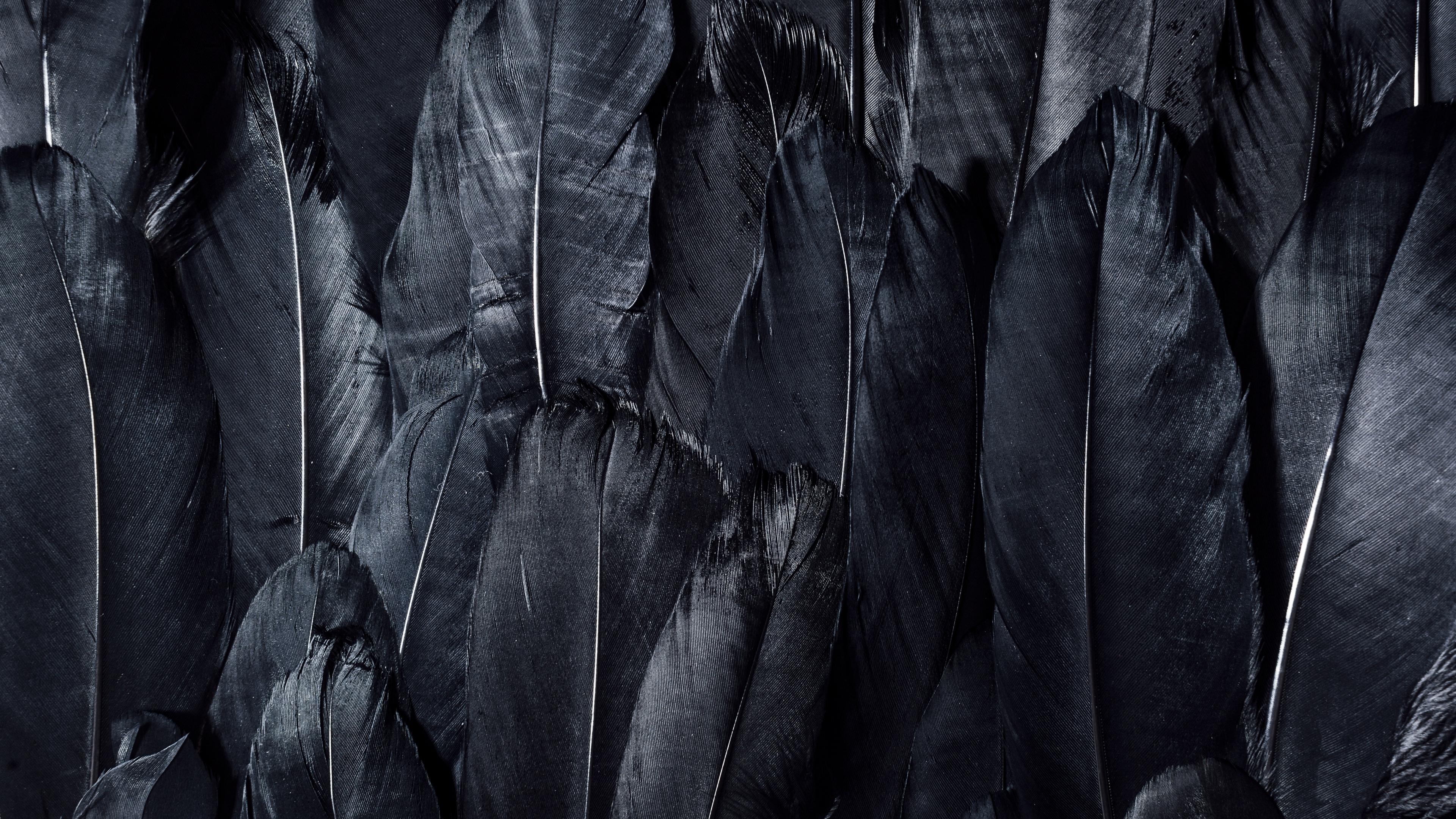 3840x2160 Download wallpaper  feathers, black, dark 4k uhd 16:9 HD, Desktop