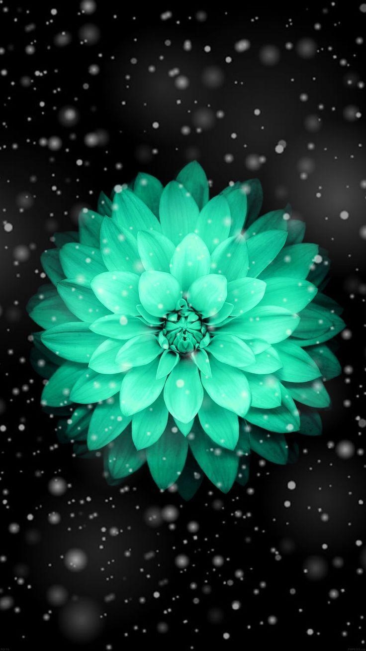 740x1310 Wallpaper. Teal flower wallpaper, Flower iphone wallpaper, Pretty wallpaper, Phone