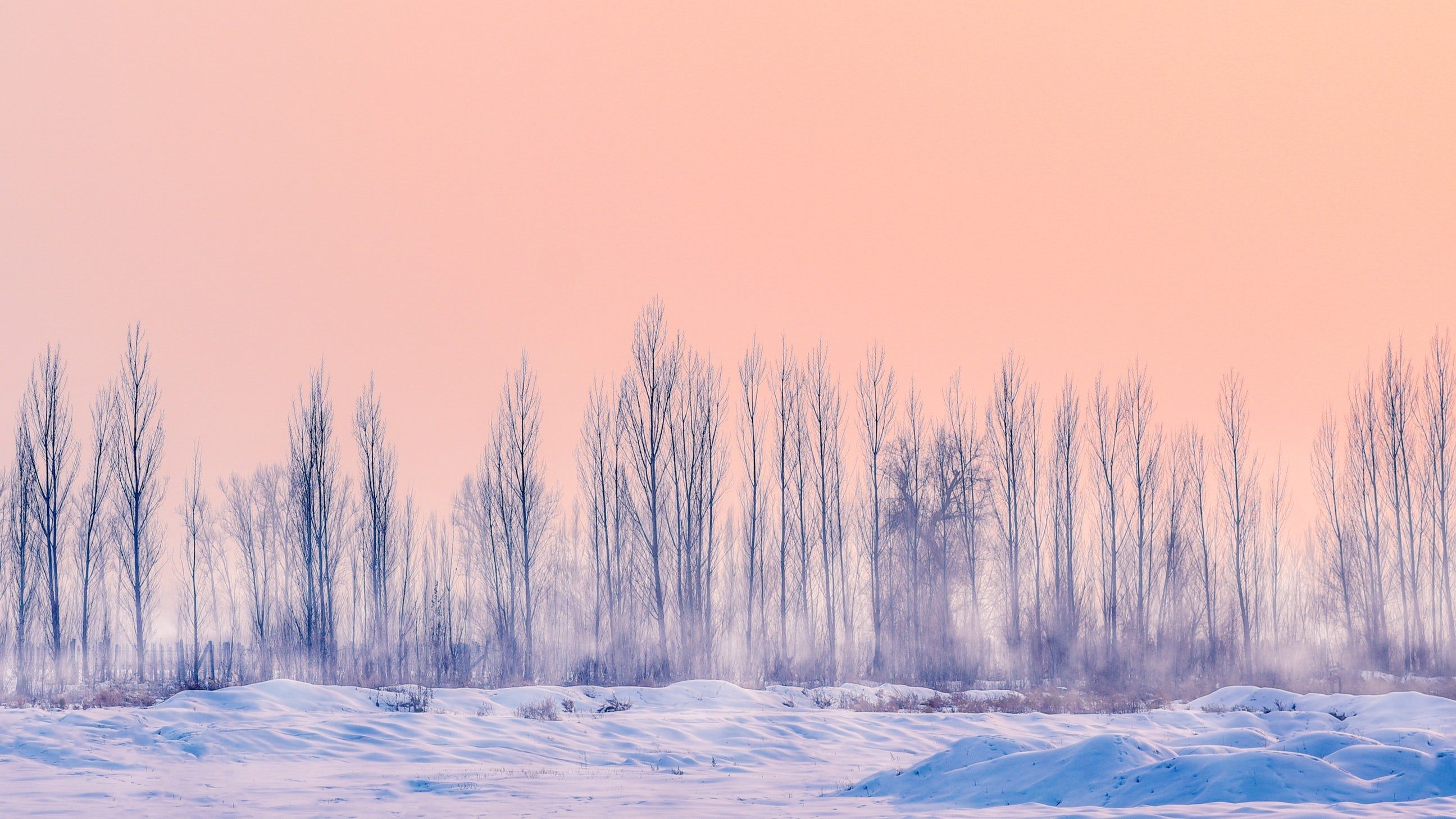 2600x1460 Pastel Picture. Download Free Image. Winter wallpaper, Pastel background, Pastel sunset, Desktop