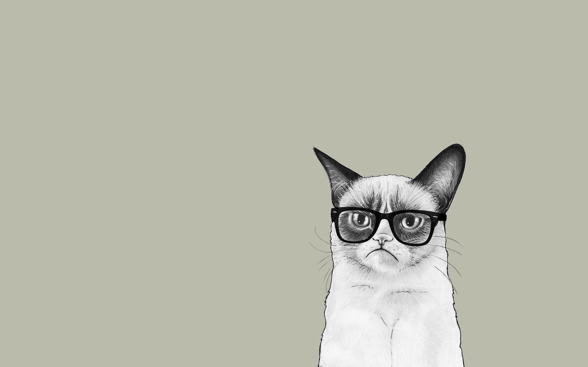 1920x1200 art cat monotype glasses discomfort minimalist wallpaper drawing, Desktop