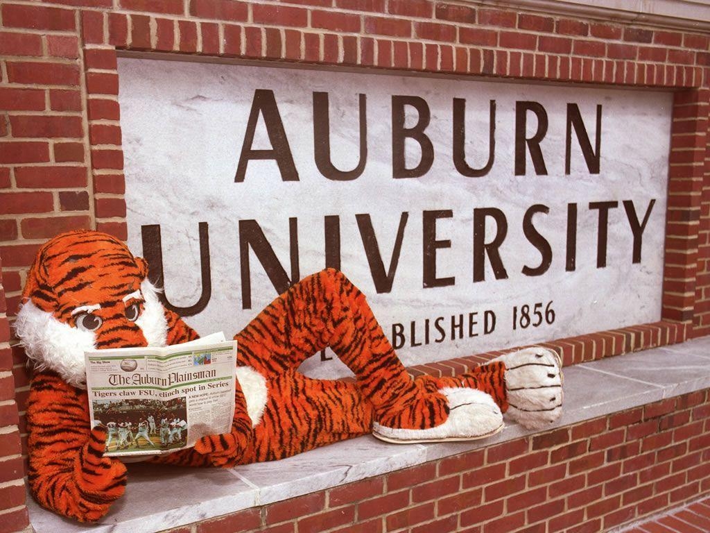 1030x770 Best image about AuburnTigers. Eagle wallpaper, Desktop