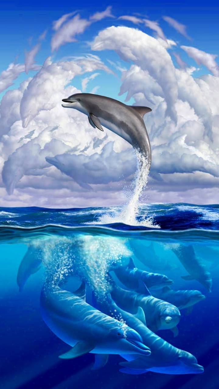 720x1280 Cool background. Dolphin art, Phone