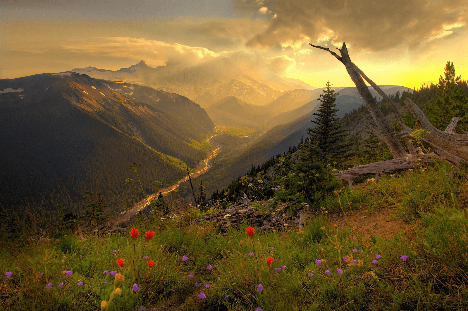 1600x1070 Washington State Wallpaper, Desktop