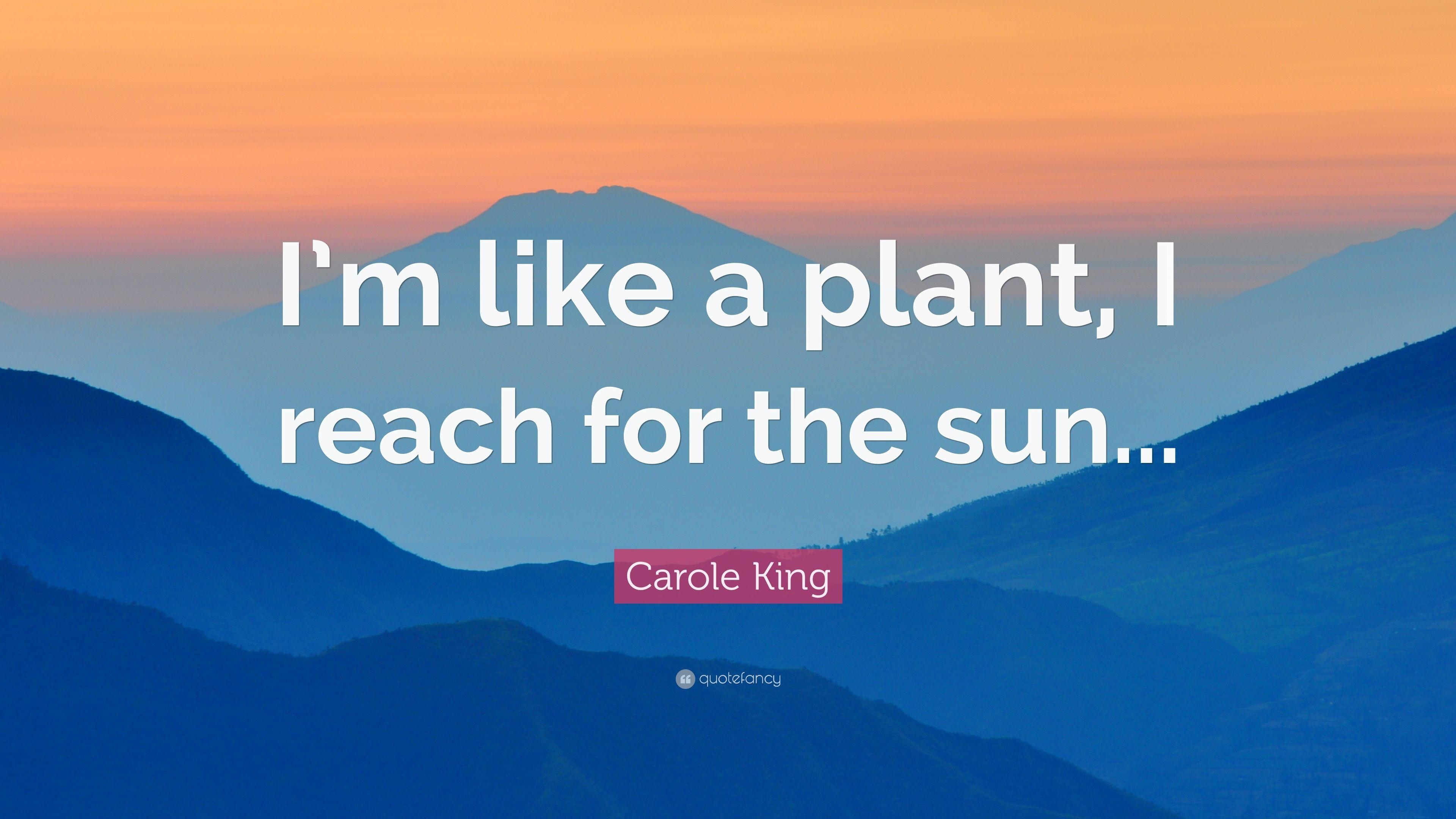 3840x2160 Carole King Quote: “I'm like a plant, I reach for the sun.” 7, Desktop