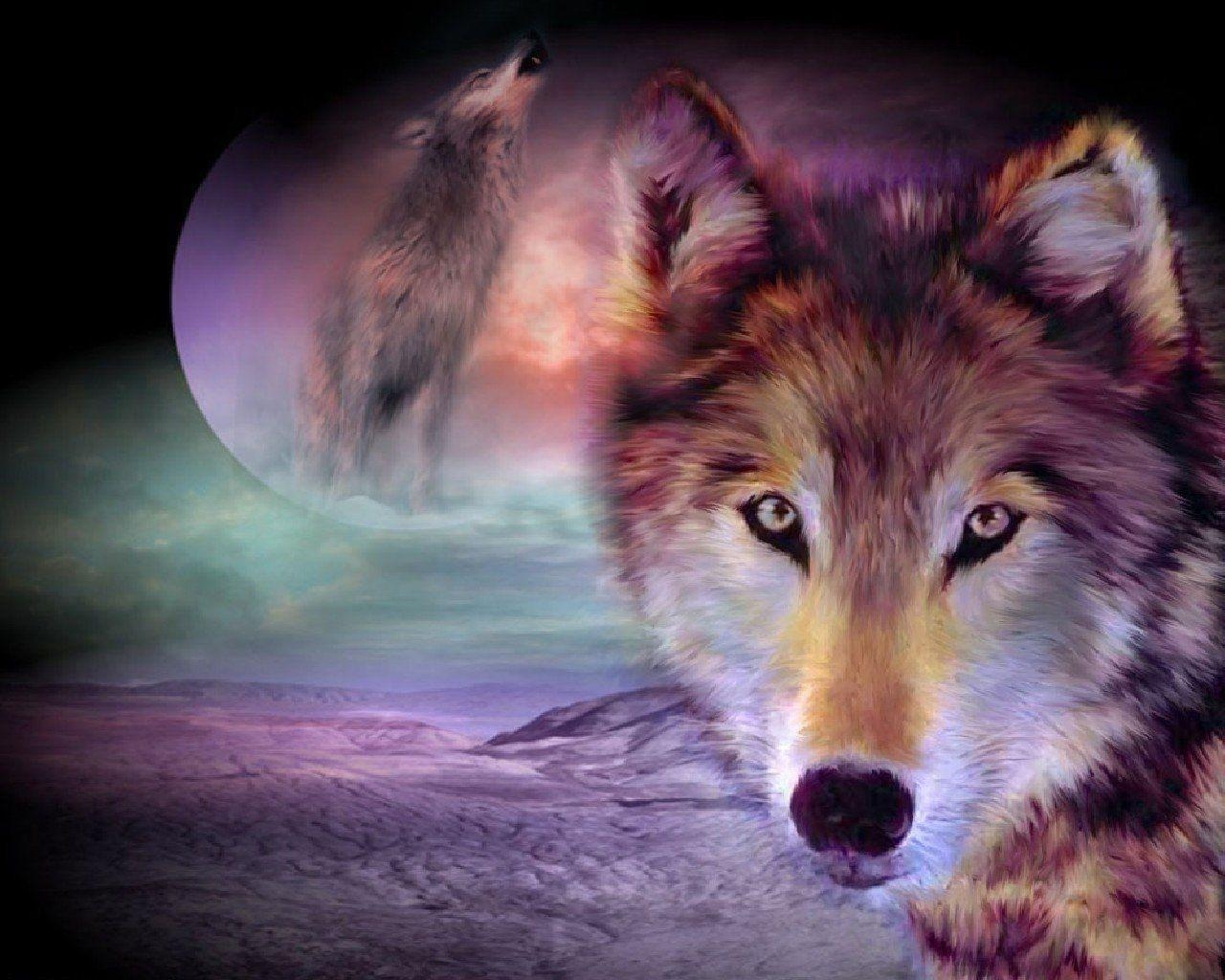 1280x1030 Wolf HD Wallpaper and Background Image, Desktop