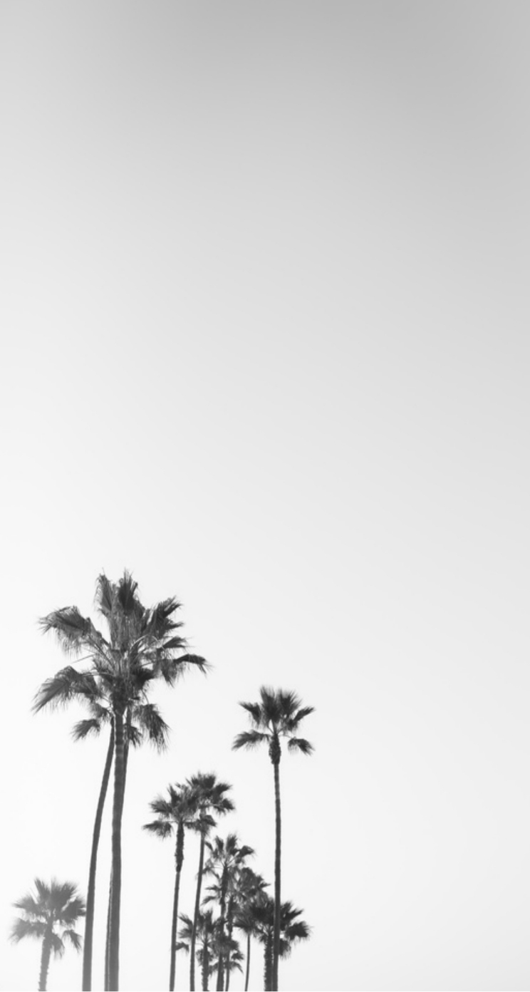 750x1400 Simple iPhone Wallpaper Free Simple iPhone Background, Phone