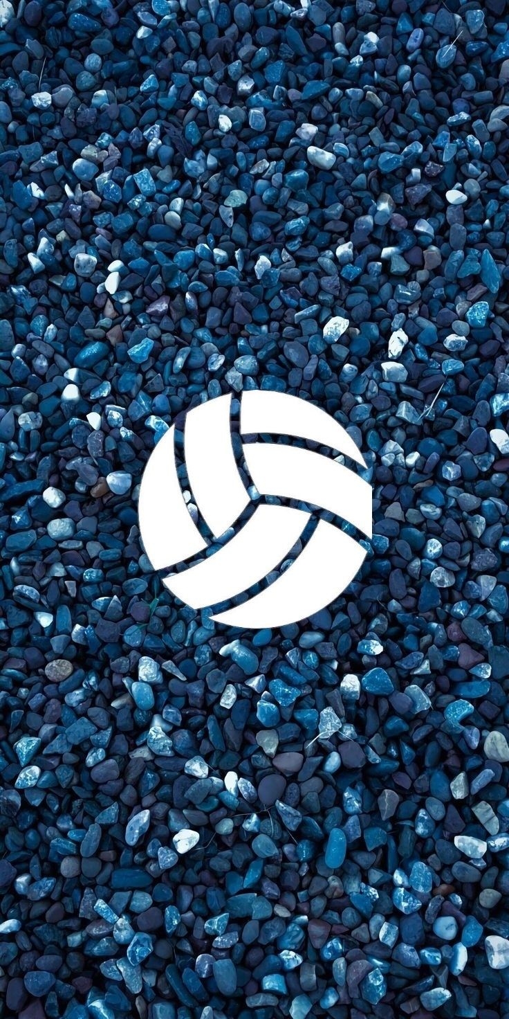 740x1480 Volleyball wallpaper, Volleyball, Phone