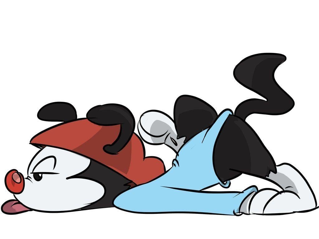 1030x770 Animaniacs: Wakko Warner, Desktop