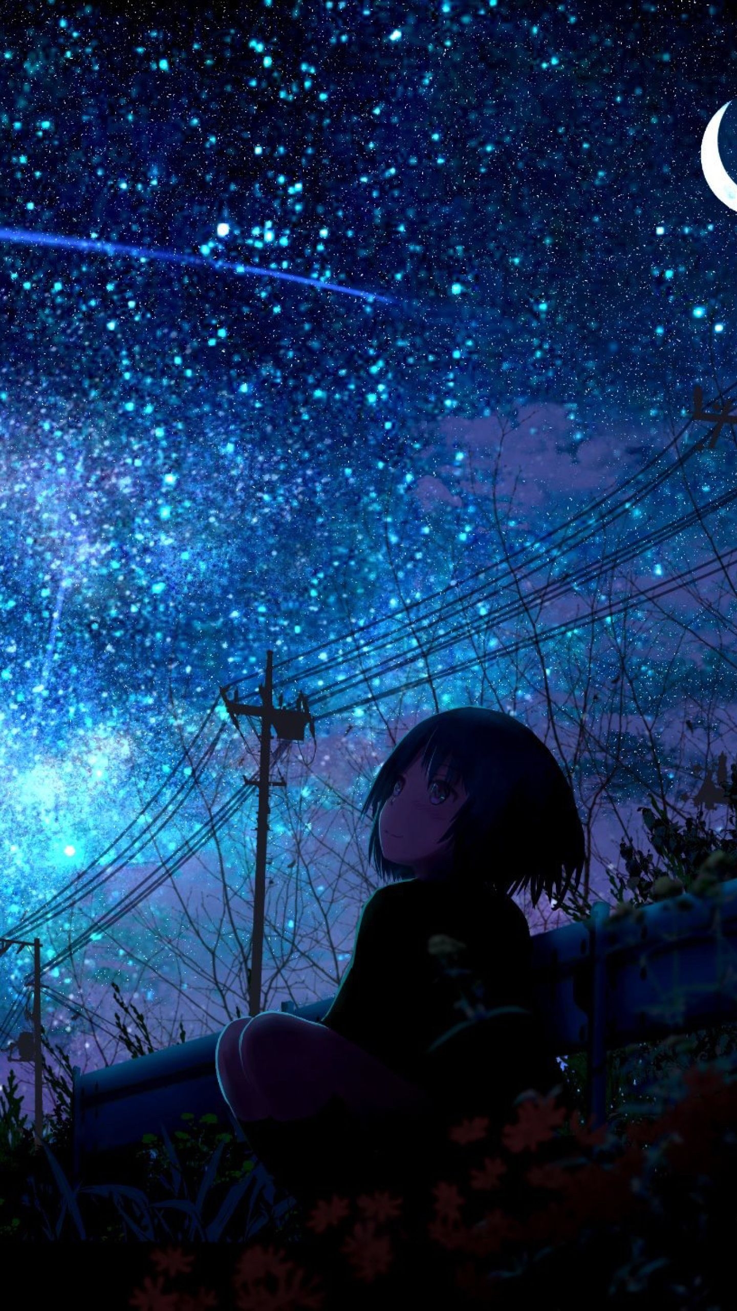 1440x2560 Lonely Girl Starring Shooting Star Samsung Galaxy S S Google Pixel XL , Nexus 6P , LG G5 Wallpaper, HD Anime 4K Wallpaper, Image, Photo and Background, Phone