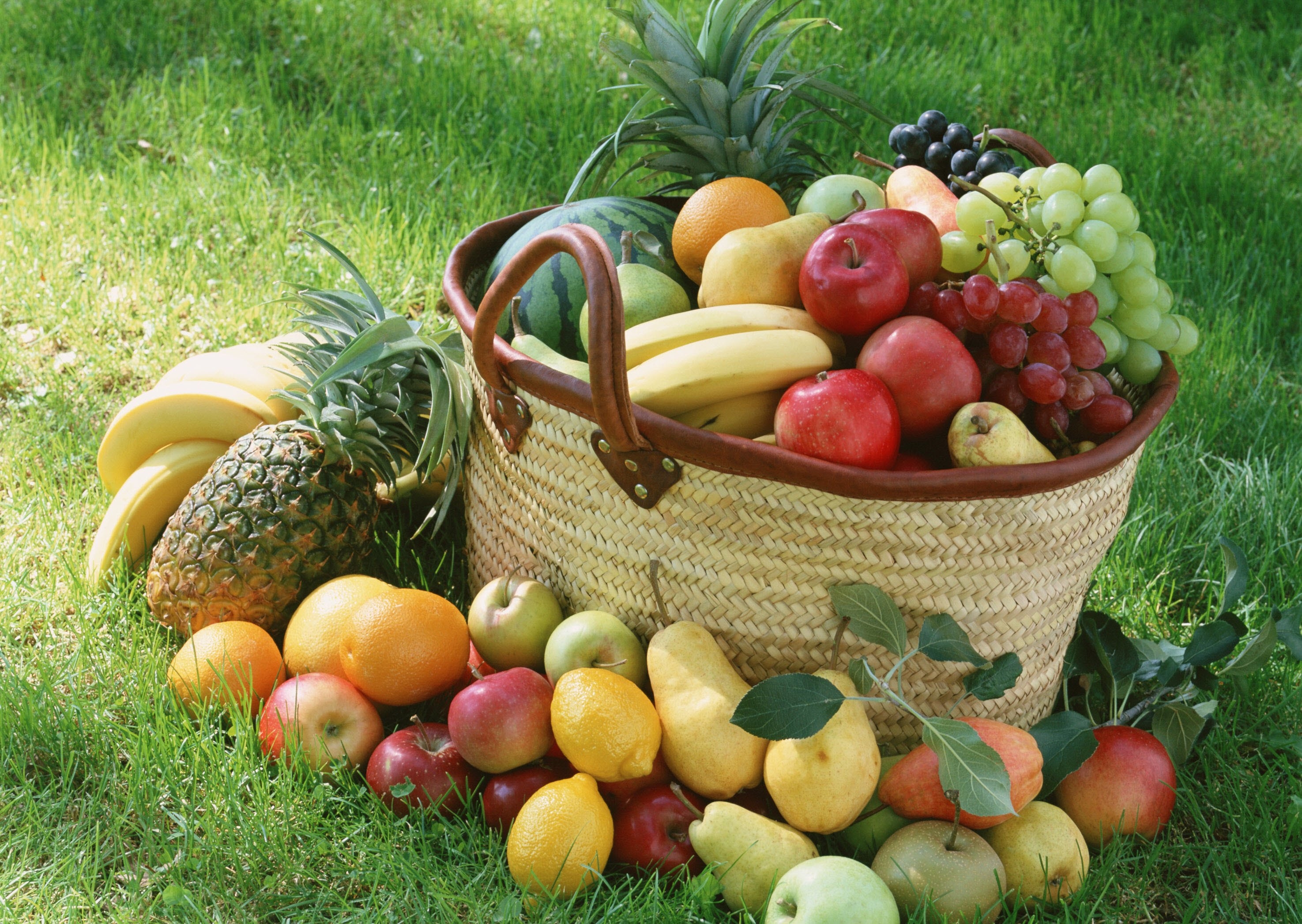 2950x2100 Fruit Basket HD Wallpaper. Background Imagex2094, Desktop