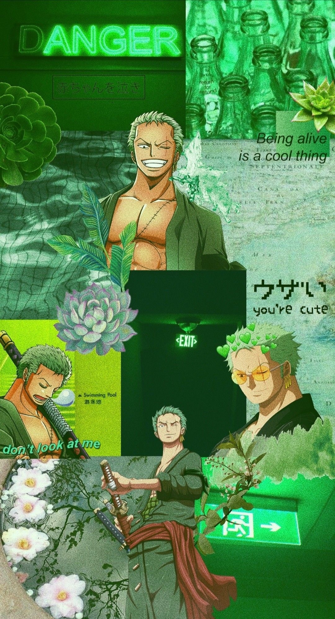 1080x2000 Roronoa Zoro aesthetic wallpaper. Animes wallpaper, Anime, Manga, Phone