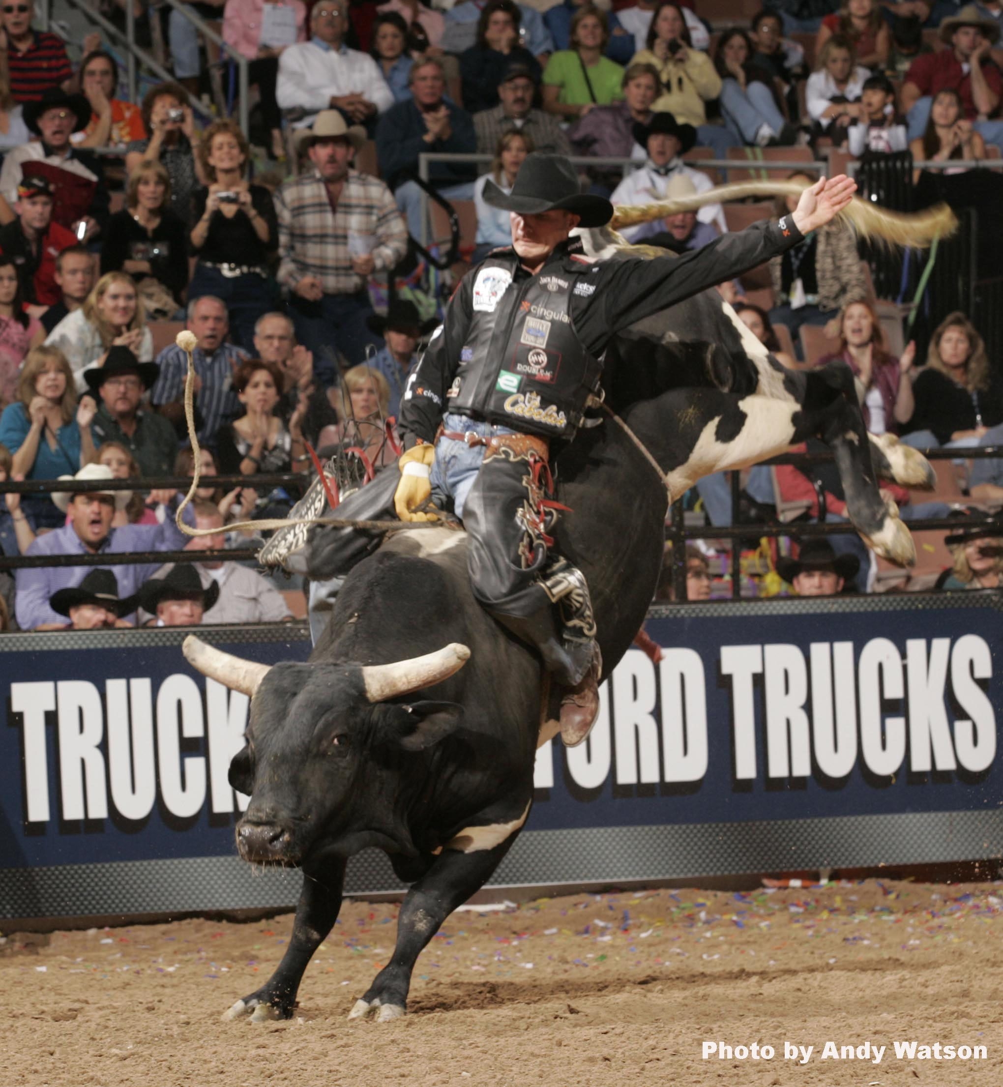 2040x2220 Pbr Wallpaper. HD Walls. Find Wallpaper. Pbr bull riding, Bull riding, Bull riders, Phone