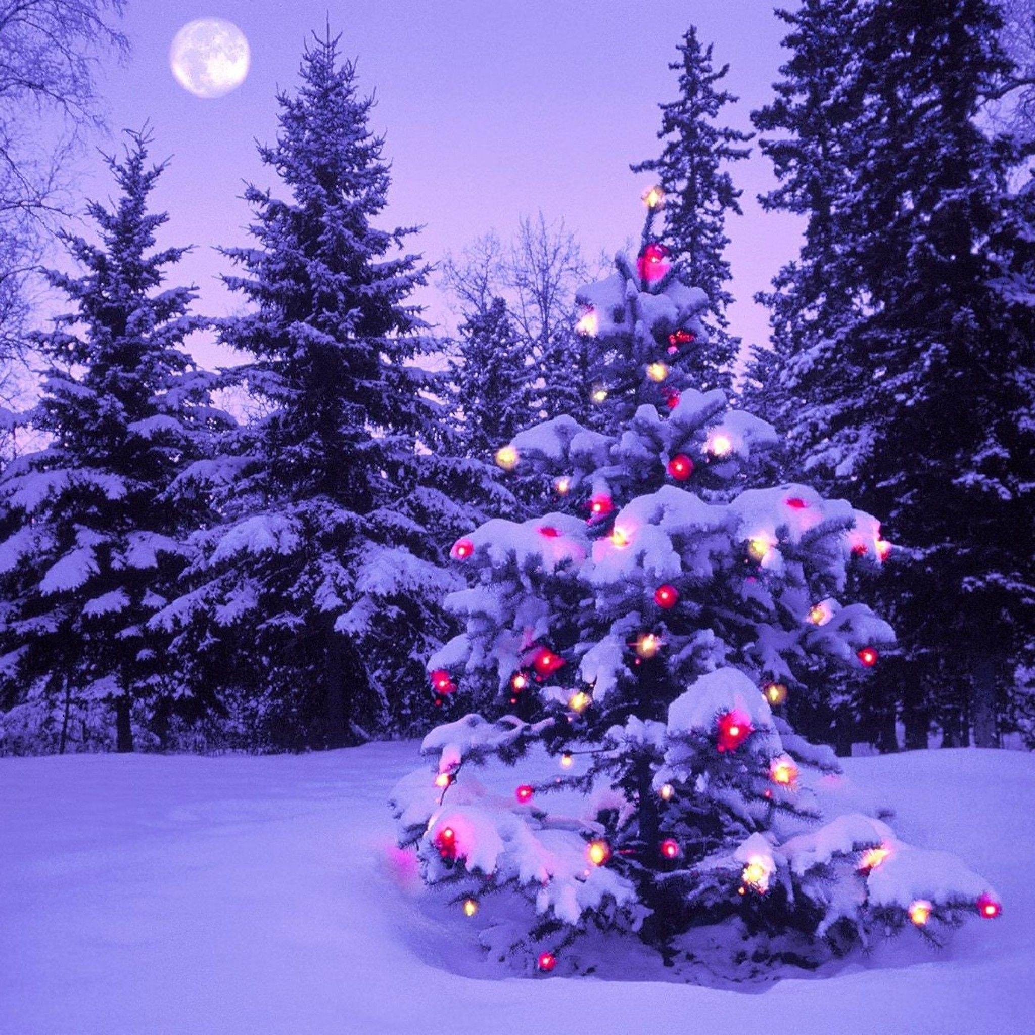 2050x2050 Animated Christmas Wallpaper for iPad, Phone