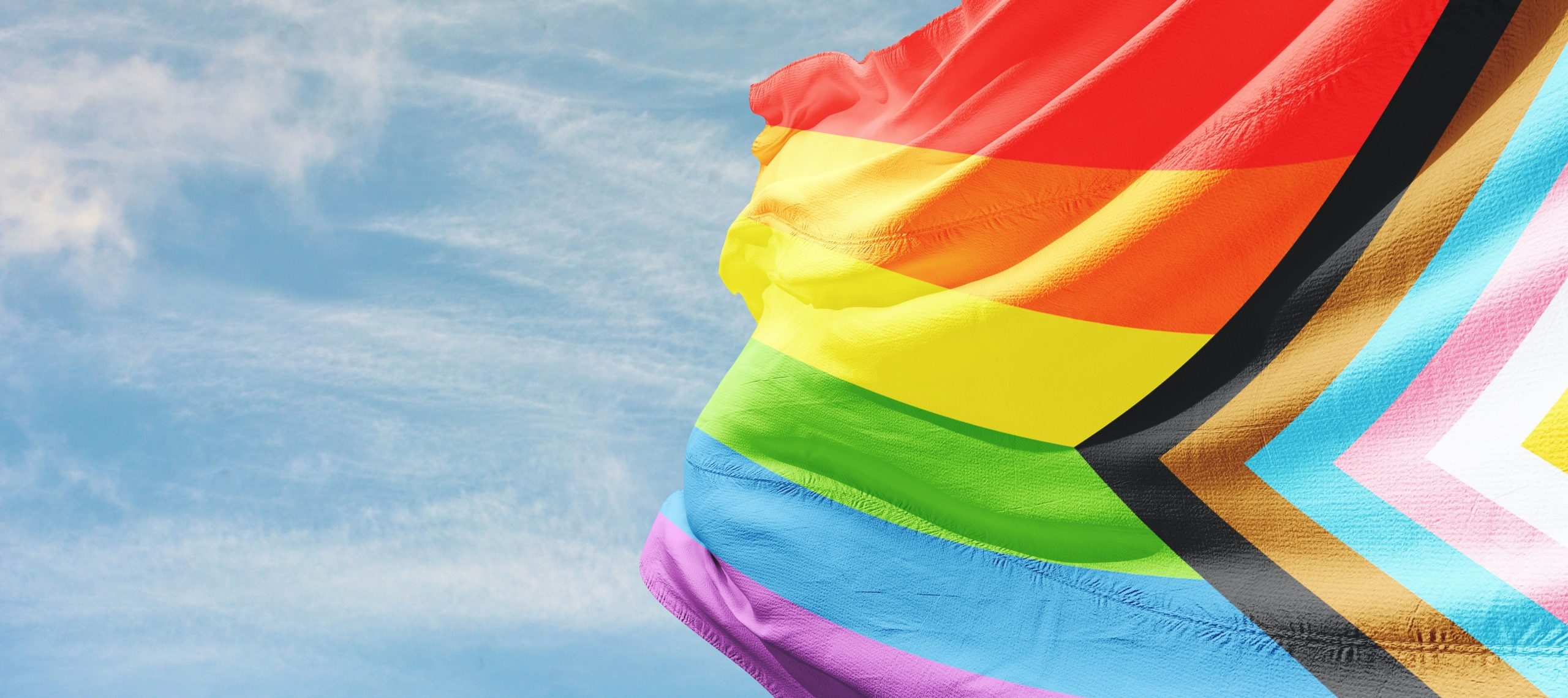 2560x1150 International Day Against Homophobia, Biphobia and Transphobia: Statement by the High Representative on behalf of the European Union, Dual Screen