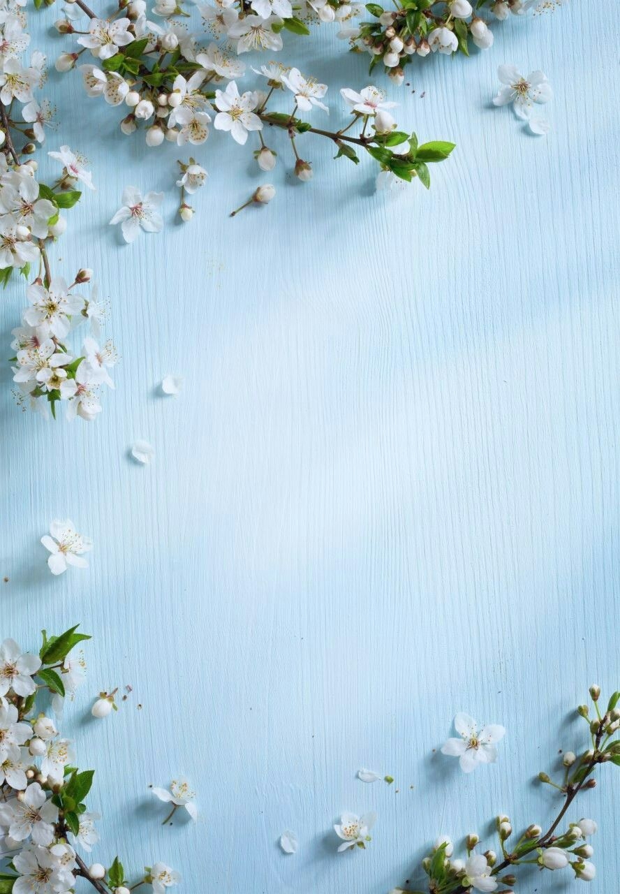 890x1280 Decoration Boards Spring Background, Phone Background, Phone