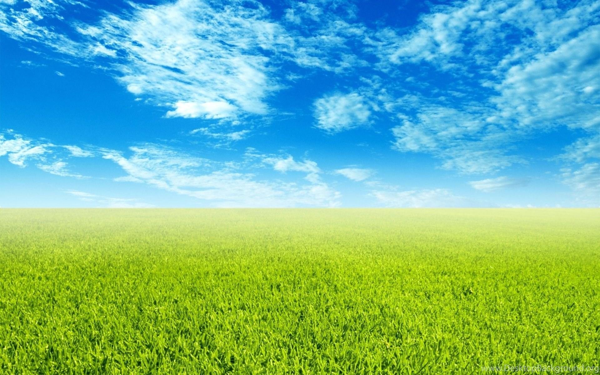 1920x1200 Sky And Grass Wallpaper Desktop Background, Desktop