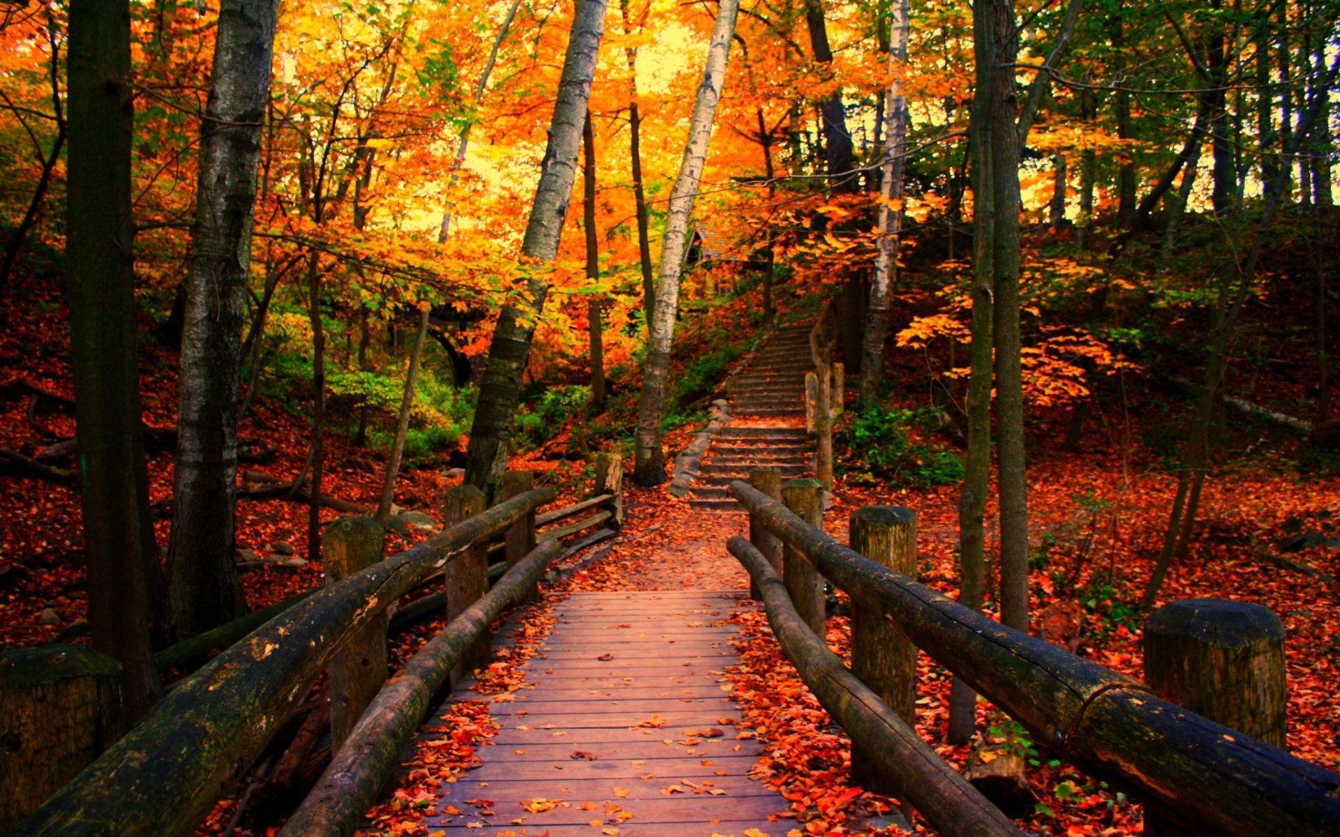 1920x1200 Wisconsin Autumn Wallpaper, Desktop