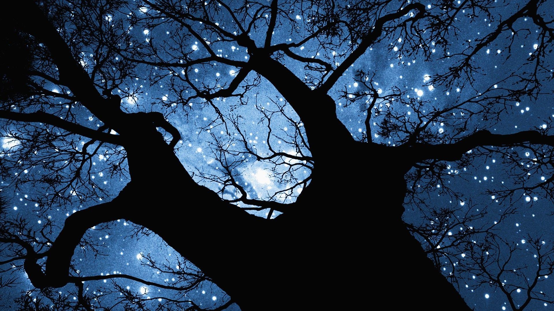 1920x1080 Free Night Stars Wallpaper Desktop, Desktop