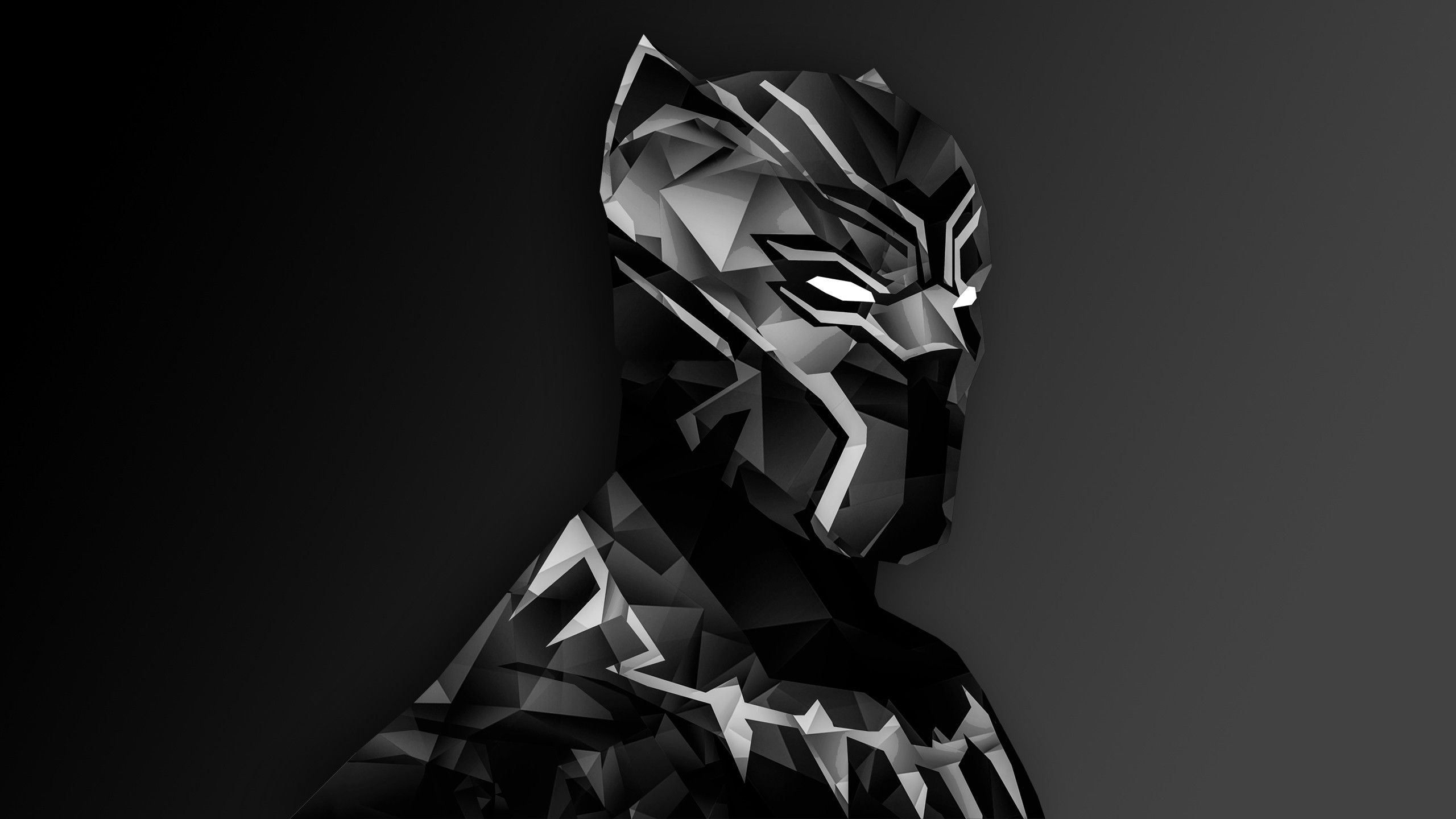 2560x1440 Black Panther Wallpaper, Desktop