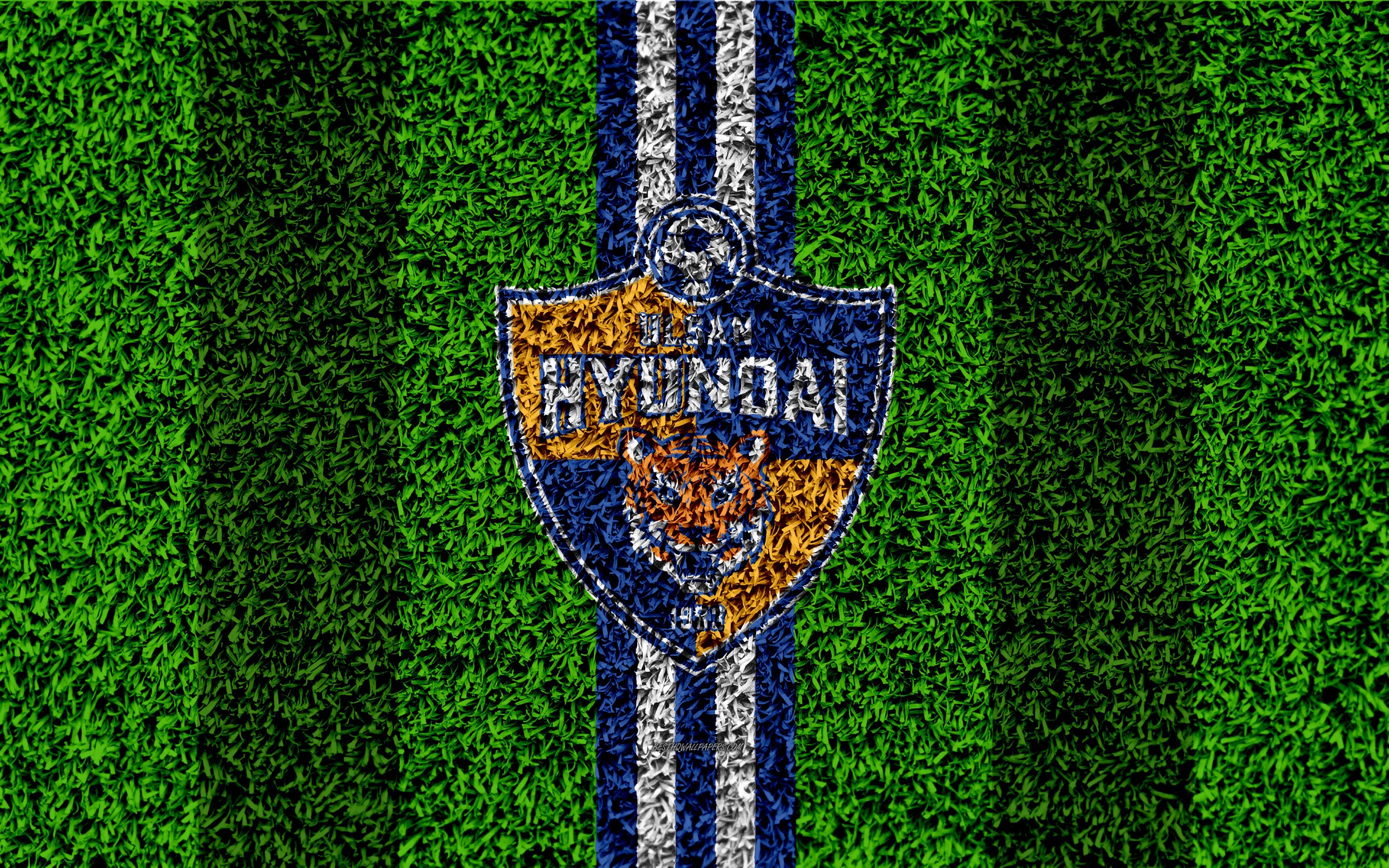 3840x2400 Download wallpaper Ulsan Hyundai FC, 4k, logo, grass texture, South, Desktop