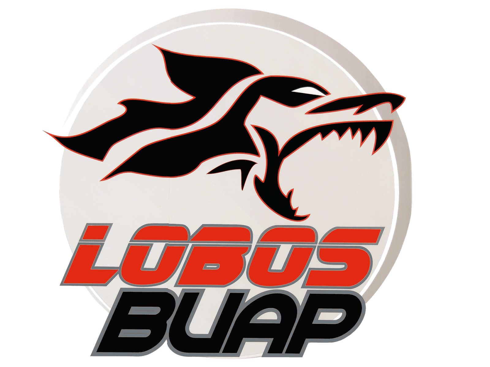 1600x1200 Todos somos Lobos, Desktop