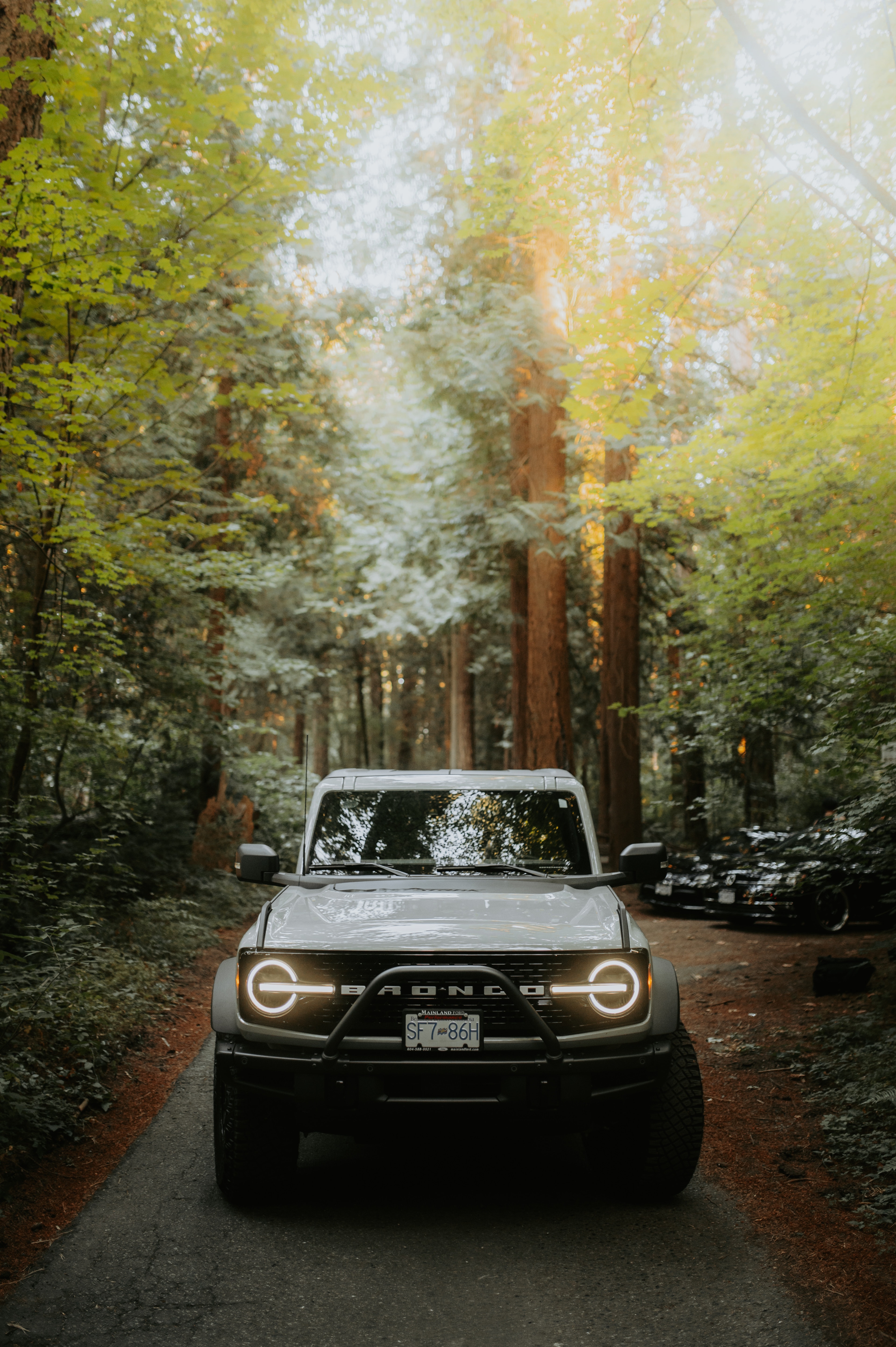 3840x5770 Bronco Photo, Download The BEST Free Bronco & HD Image, Phone