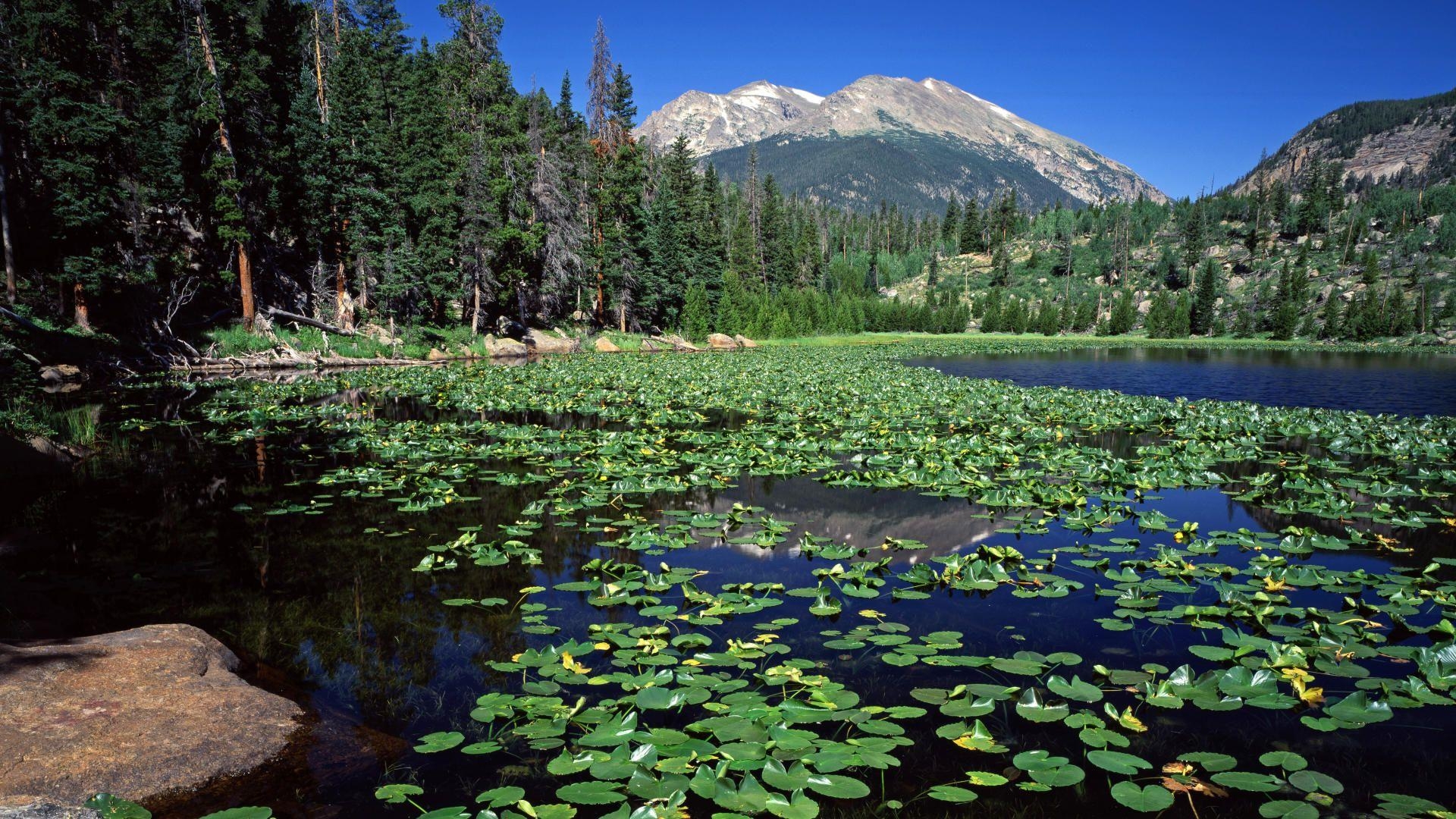 1920x1080 Download Background Lake, Stones Mountain, Rocky Mountain, Desktop