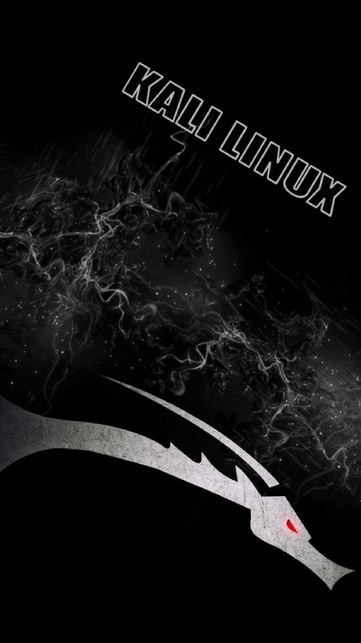 720x1280 KALI LINUX wallpaper, Phone