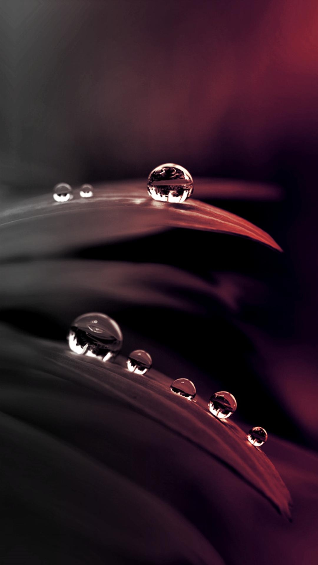 1080x1920 Story Of Raindrops HD Mobile Wallpaper, Phone