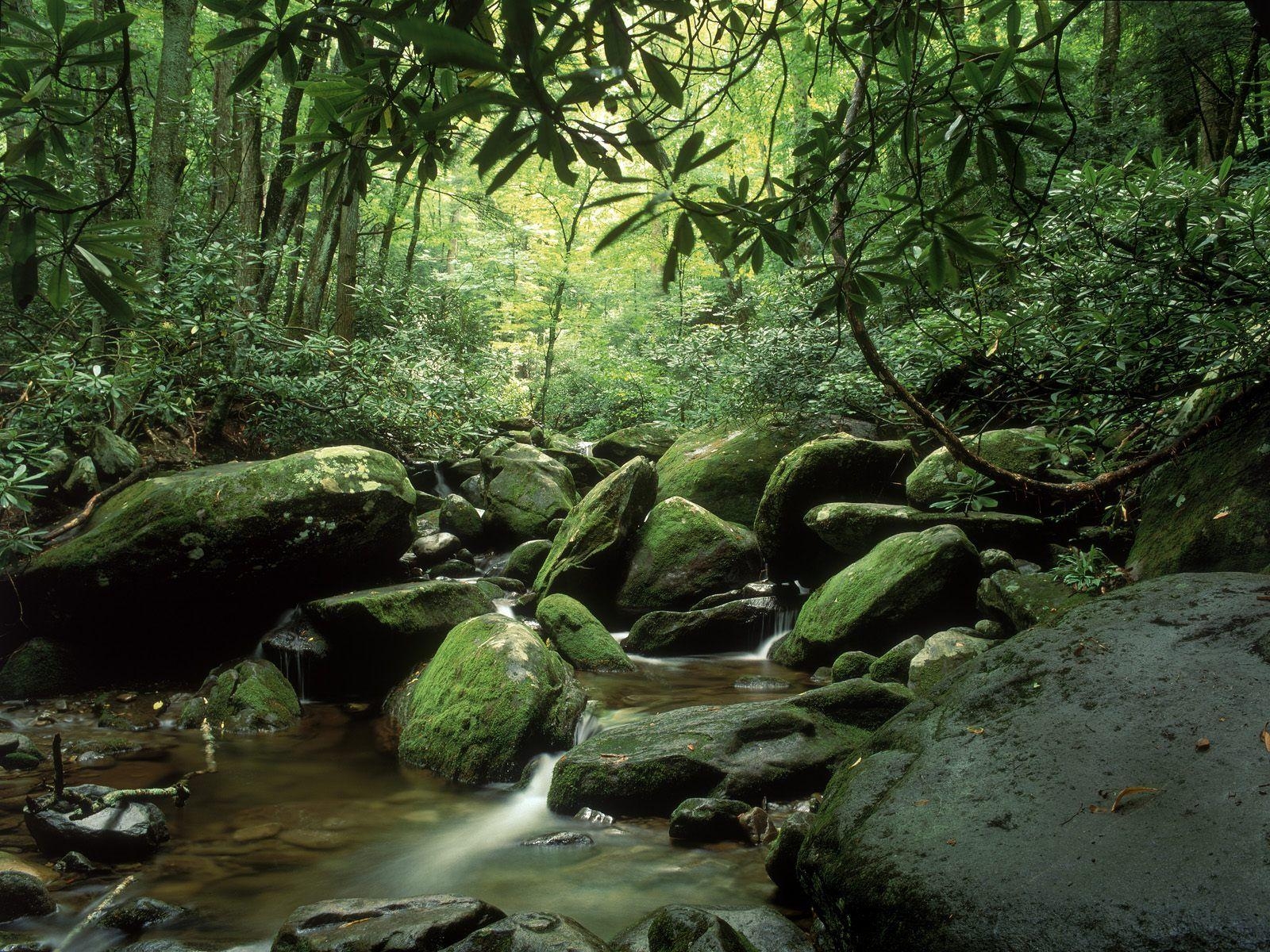 1600x1200 Roaring Fork In Summer Great Smoky Mountains National Park, Desktop