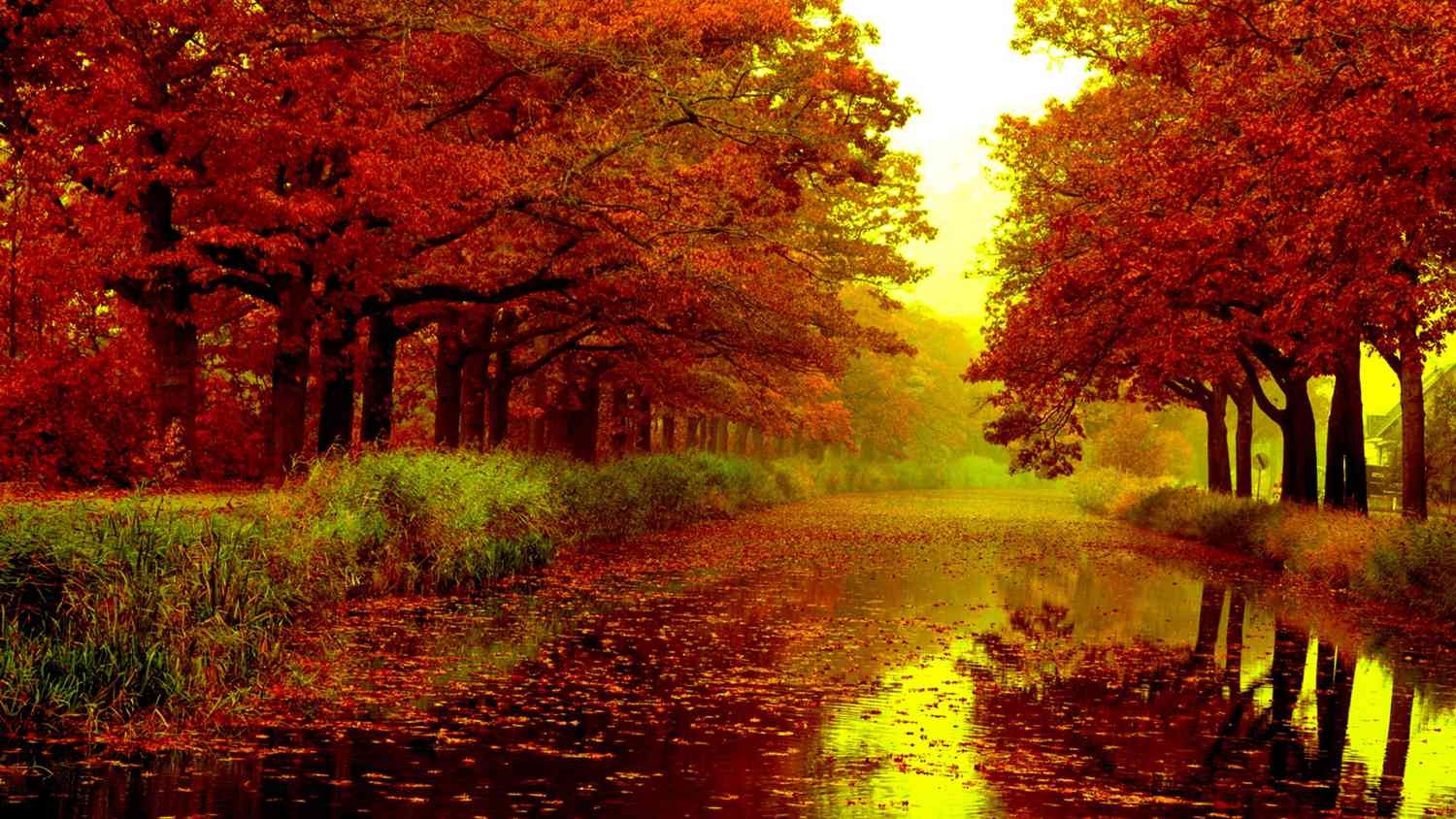 1500x850 Best Free Autumn Wallpaper, Desktop