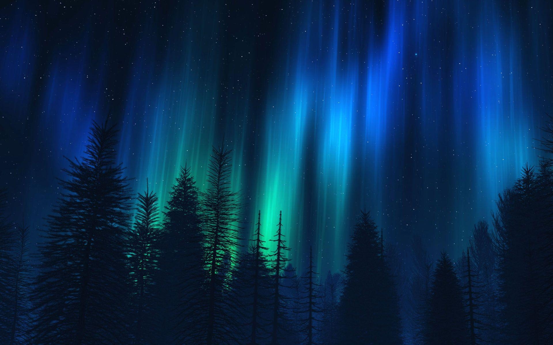 1920x1200 Aurora Borealis Forest Hd Wallpaper. Download Free HD Wallpaper, Desktop