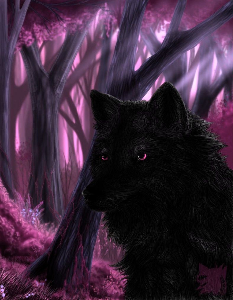 790x1020 Black wolf with Pink Eyes. Wolf spirit animal, Black wolf, Wolf love, Phone