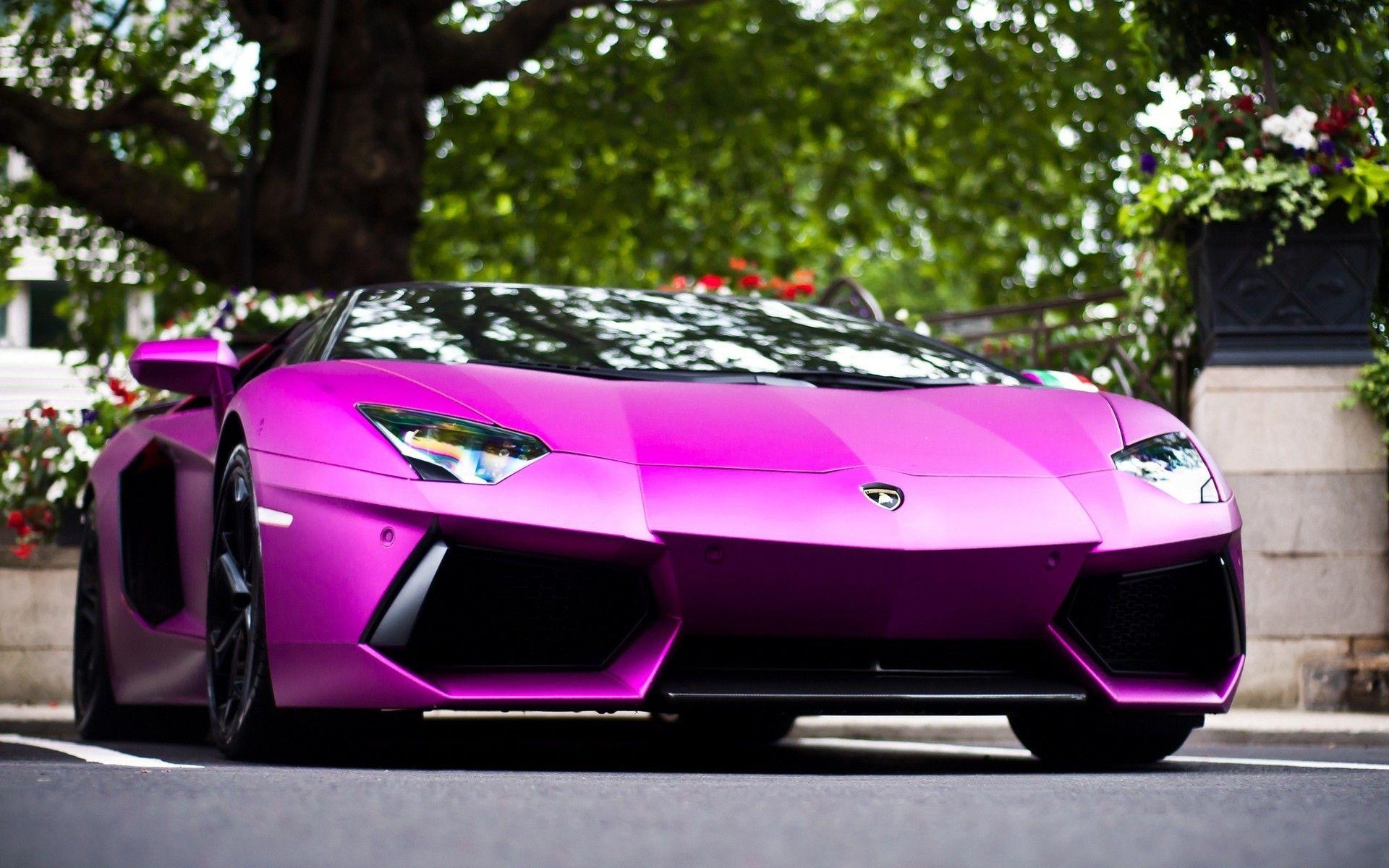 1920x1200 Pink Lamborghini Wallpaper, Desktop