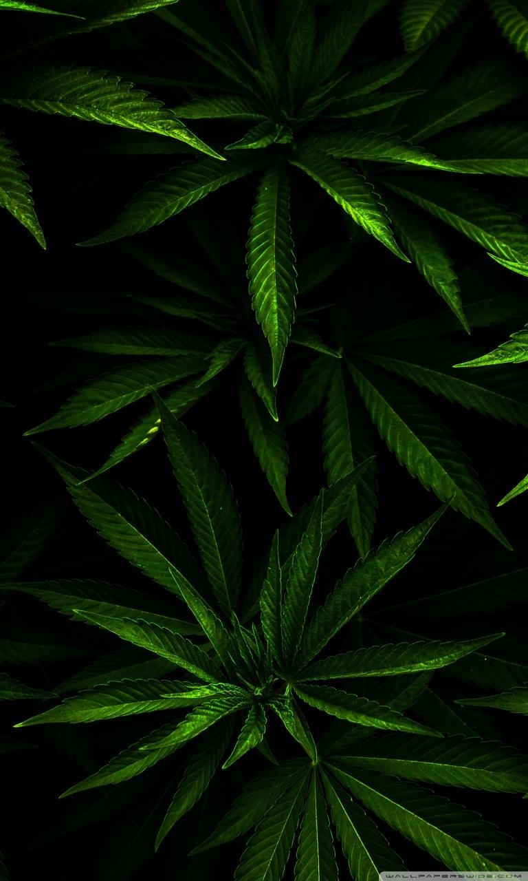 770x1280 Weed ❤ 4K HD Desktop Wallpaper for 4K Ultra HD TV • Wide, Phone