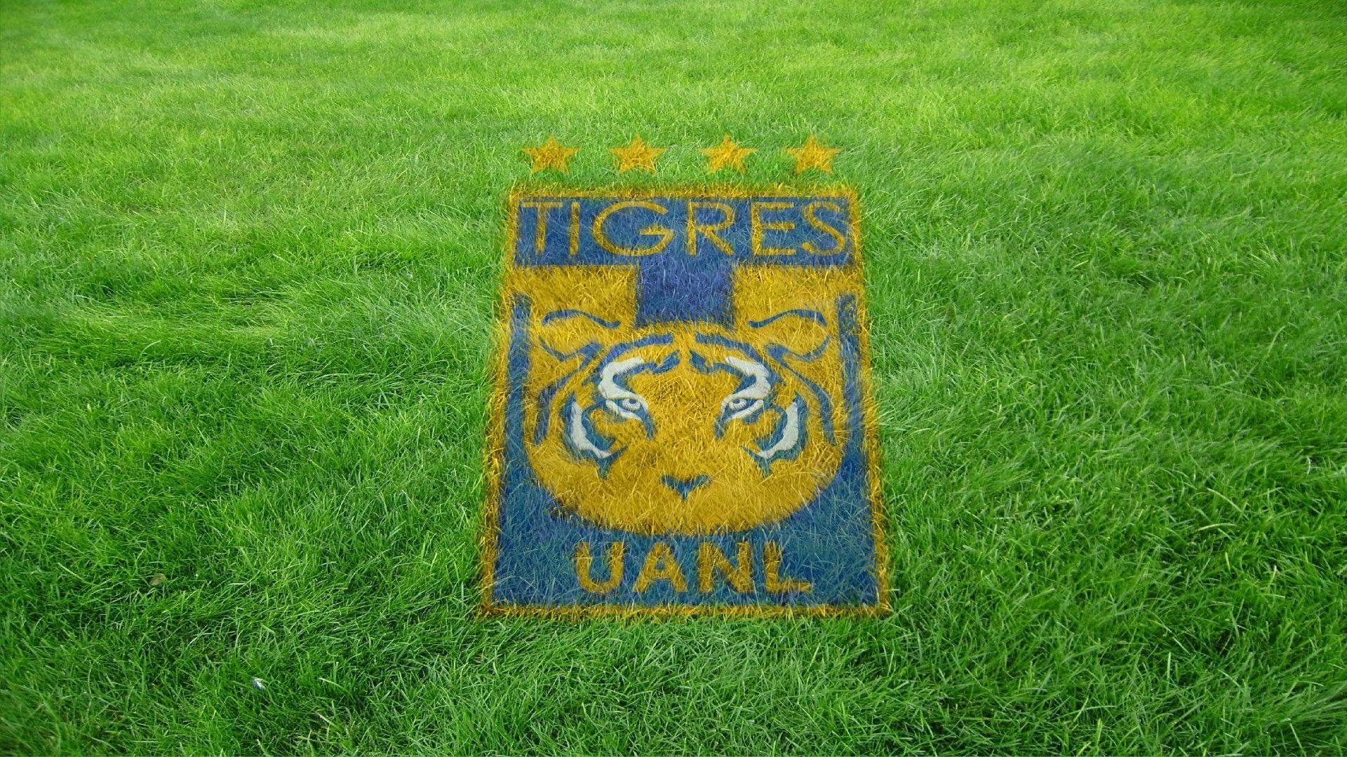 1920x1080 Escudo de Tigres U.A.N.L. Campo de Juego (Wallpaper) 2016. Tigres, Desktop