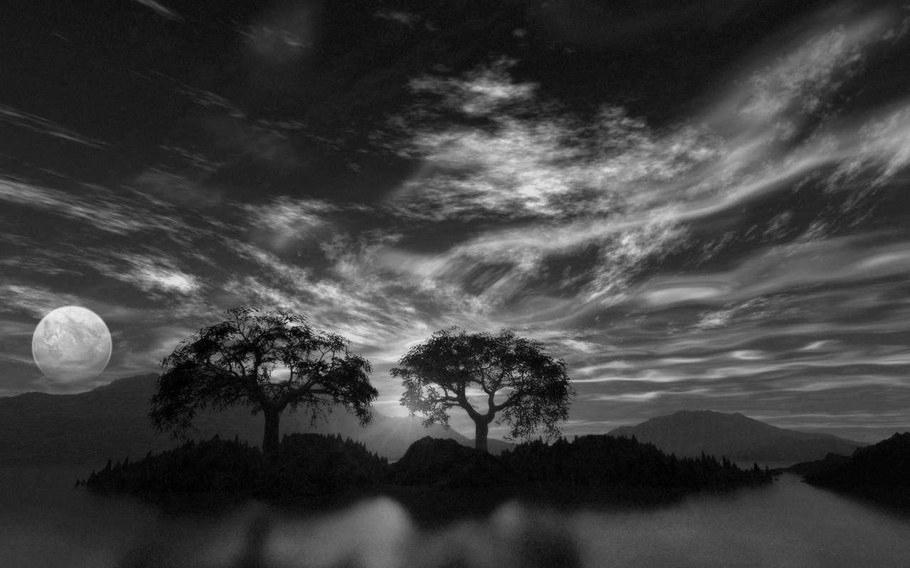 1280x800 Black And White Nature Wallpaper, Desktop